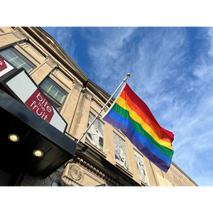 LGBTQIA Pride: The Rainbow Flag