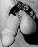 English Leather Cock Cage