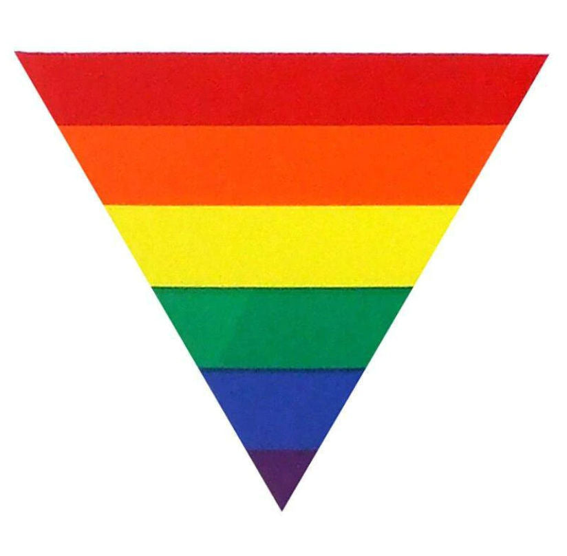 Rainbow Triangle Magnet